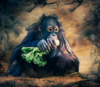 Lunch Time