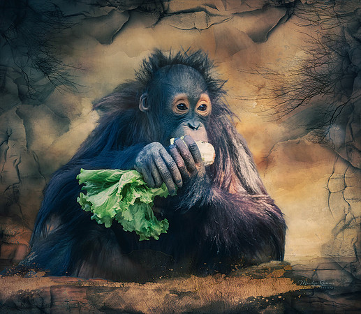 Lunch Time