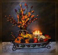 Still Life