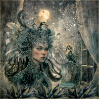 The Ice Princess