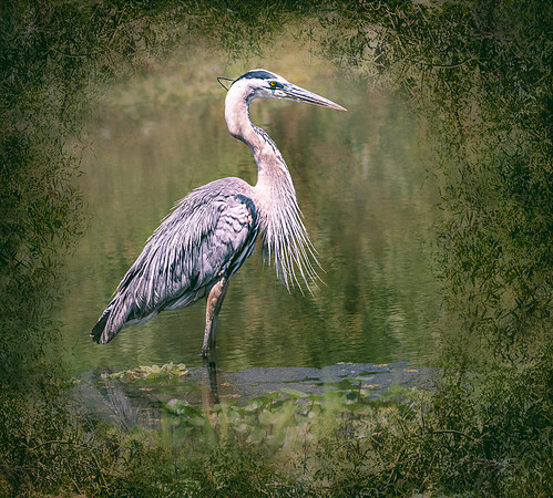 _DSC1848-Edit