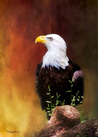 Standing Proud