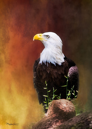 Standing Proud