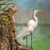 The Sentry