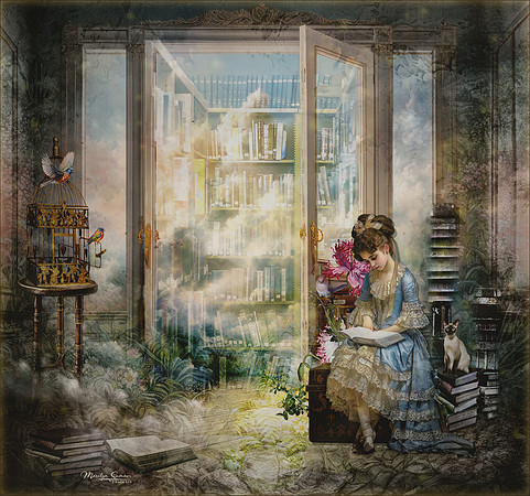 The Library